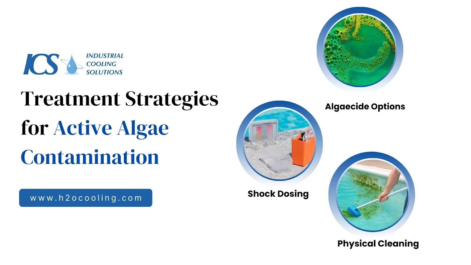 "ICS card ""Treatment Strategies for Active Algae Contamination"" with algaecide, shock-dosing and physical-cleaning vignettes"